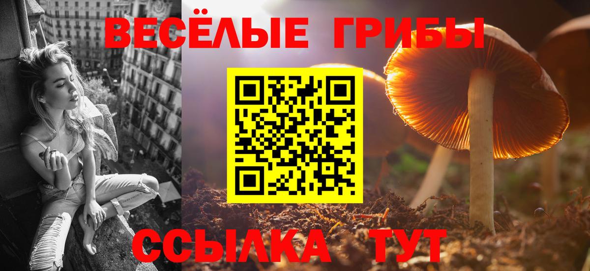 Галлюциногенные грибы Psilocybe Чехов